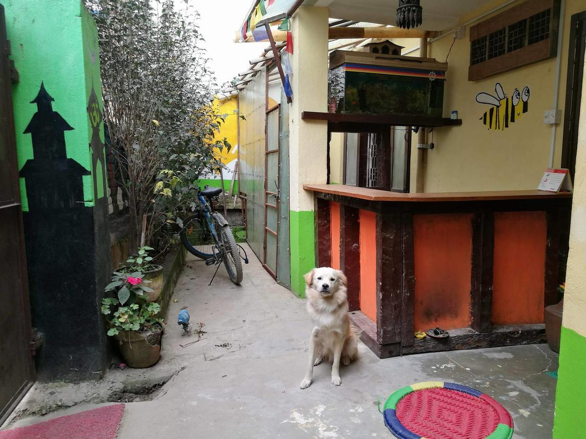The Nepali Hive Hostel Kathmandu Bagian luar foto
